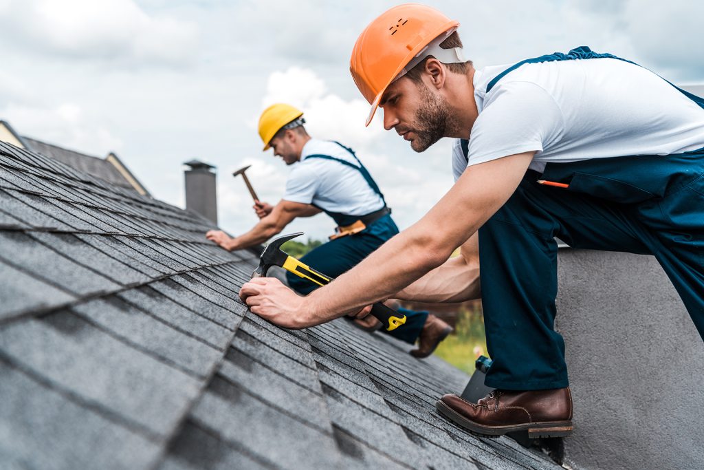 Roof Maintenance Expertise