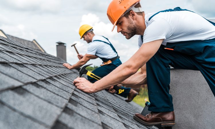 Roof Maintenance Expertise